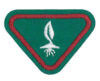 Seed