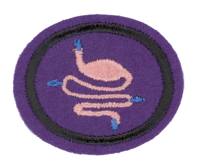 Digestion