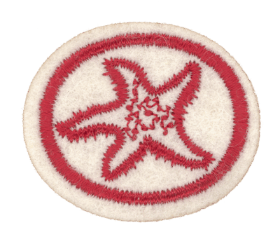 Marine Invertebrates